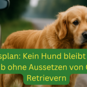 Aktionsplan um Goldie-Halter vom Aussetzen in der Urlaubszeit abzuhalten