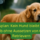 Aktionsplan um Goldie-Halter vom Aussetzen in der Urlaubszeit abzuhalten