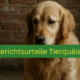Golden Retriever sitzt ruhig vor Backsteinwand neben Richterhammer – Symbolbild für Hundequälerei, aktuelle Gerichtsurteile zu Tierquälerei, Schutzrechte für Hunde und juristische Konsequenzen bei Misshandlung von Haustieren.