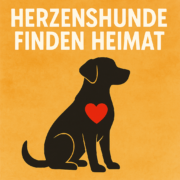 facebookgruppe hunde finden neue heimat