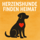 facebookgruppe hunde finden neue heimat